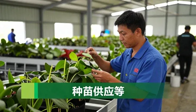 北京富兴民业蔬菜水果种植专业合作社专注场景领域，提供加工服务